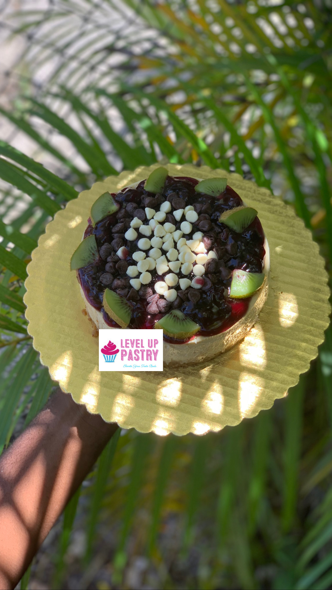 Fruit and chocolate-topped cheesecake
