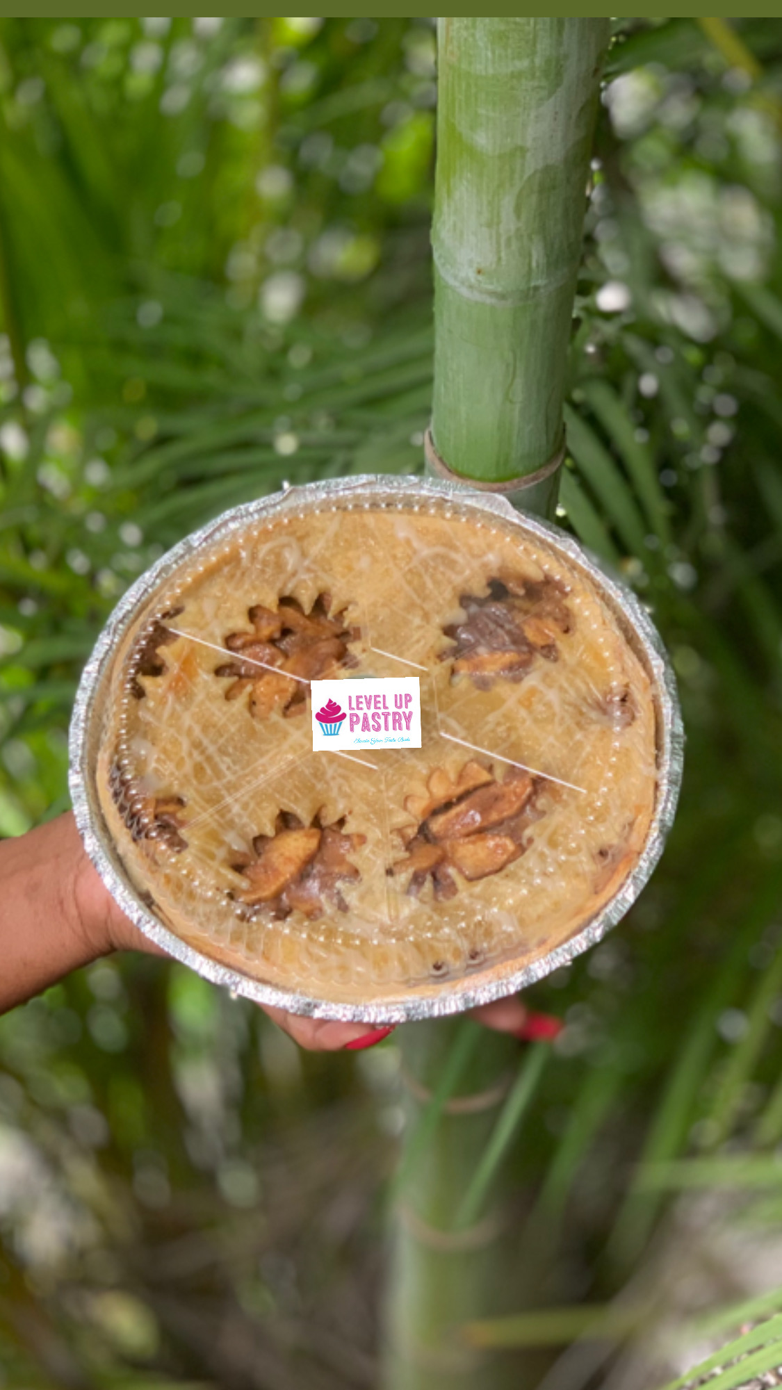 Freshly baked apple pie